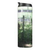 リス熱タンブラー タンブラー (回転右)