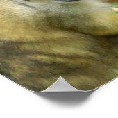 リス猿のポスター ポスター (角)