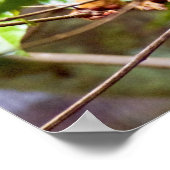 リス猿のポスター ポスター (角)