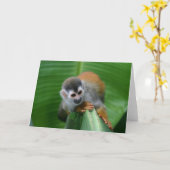 リス猿コスタリカ カード (黄色い花)