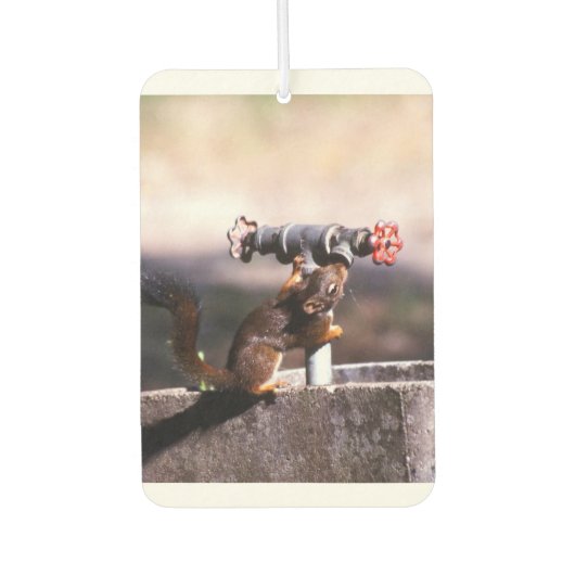 リス用芳香剤 カーエアーフレッシュナー (正面)