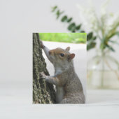 リス登山ツリー ポストカード (スタンド正面)