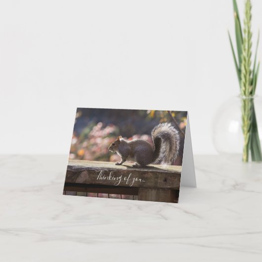 リス白熱［赤熱］光を放つル考えるのカード カード (正面)