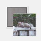 リス磁石 マグネット (正面/裏面)