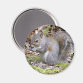 リス磁石 マグネット (正面/裏面)