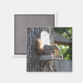 リス磁石 マグネット (正面/裏面)