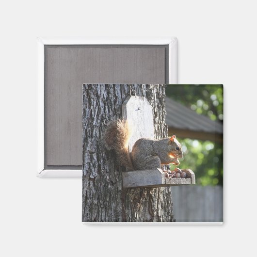 リス磁石 マグネット (正面/裏面)