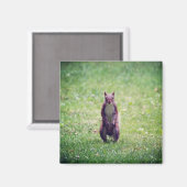 リス磁石 マグネット (正面/裏面)