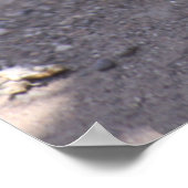 リス祈リポスターの拡大 ポスター (角)