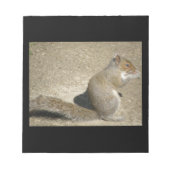 リス空腹のホレイショのメモ帳 ノートパッド (正面)