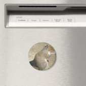 リス空腹のホレイショ磁石 マグネット (インサイチュ (食洗機))