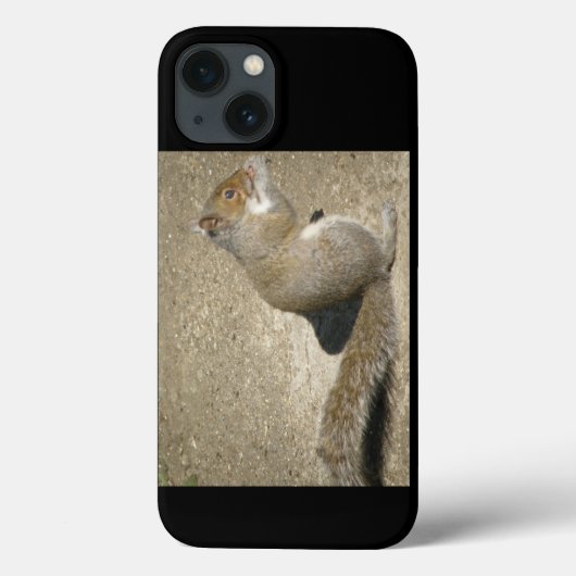 リス空腹のホレイショ Case-Mate iPhoneケース (裏面)