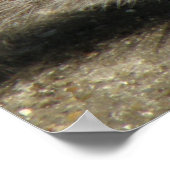 リス空腹ホレイショプリント ポスター (角)