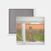 リス窓マグネット マグネット (正面/裏面)