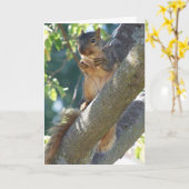 リス考えル カード (黄色い花)