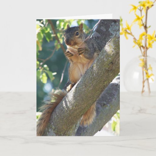 リス考えル カード (黄色い花)