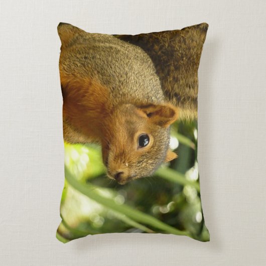 リス自然動物撮影ポートレート アクセントクッション (正面(垂直))