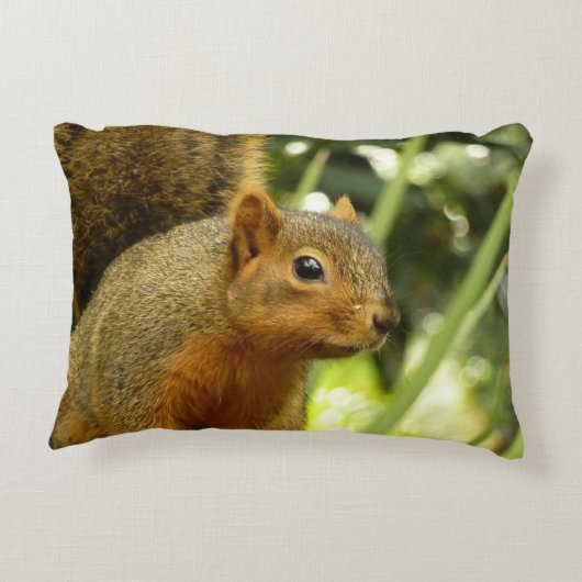 リス自然動物撮影ポートレート アクセントクッション (裏面)