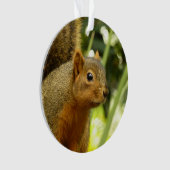リス自然動物撮影ポートレート オーナメント (正面)