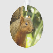 リス自然動物撮影ポートレート オーナメント (正面)