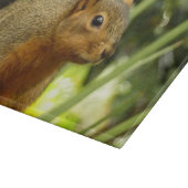 リス自然動物撮影ポートレート カッティングボード (角)