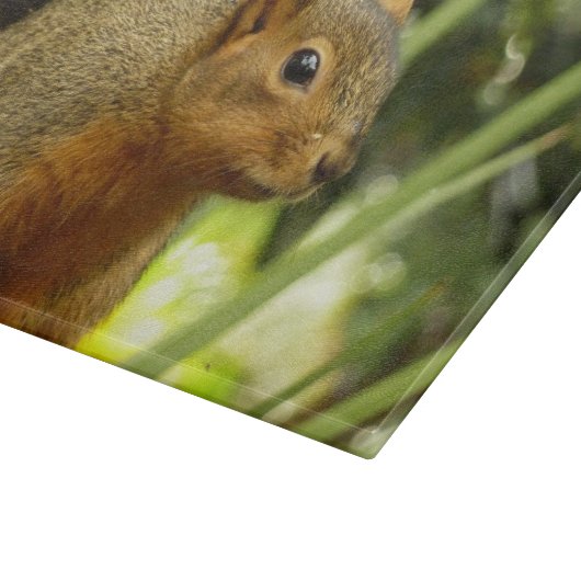 リス自然動物撮影ポートレート カッティングボード (角)