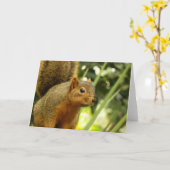 リス自然動物撮影ポートレート カード (黄色い花)