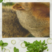 リス自然動物撮影ポートレート キッチンタオル (折り畳み)