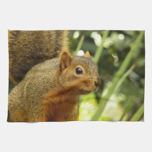 リス自然動物撮影ポートレート キッチンタオル (横)