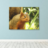 リス自然動物撮影ポートレート キャンバスプリント (インサイチュ (ウッドフロア))