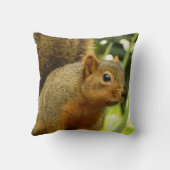 リス自然動物撮影ポートレート クッション (裏面)