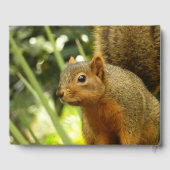 リス自然動物撮影ポートレート ゲストブック (裏面)