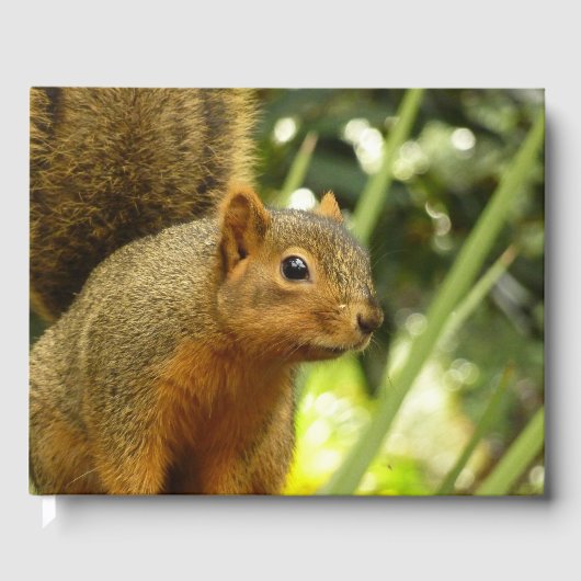 リス自然動物撮影ポートレート ゲストブック (正面)