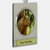 リス自然動物撮影ポートレート シルバープレートバナーオーナメント (右)