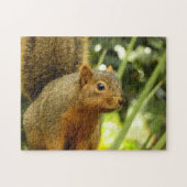 リス自然動物撮影ポートレート ジグソーパズル (横)