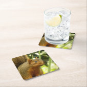 リス自然動物撮影ポートレート スクエアペーパーコースター (インサイチュ)