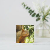 リス自然動物撮影ポートレート スクエア名刺 (スタンド正面)