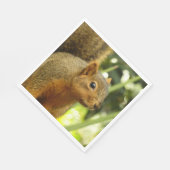 リス自然動物撮影ポートレート スタンダードランチョンナプキン (角)
