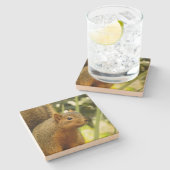 リス自然動物撮影ポートレート ストーンコースター (横)