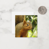 リス自然動物撮影ポートレート ノートカード (正面/裏面インサイチュ)