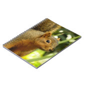 リス自然動物撮影ポートレート ノートブック (左側)