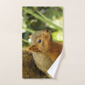 リス自然動物撮影ポートレート ハンドタオル (ハンドタオル)