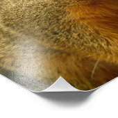 リス自然動物撮影ポートレート フォトプリント            (角)