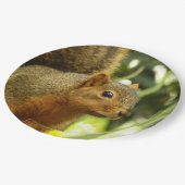 リス自然動物撮影ポートレート ペーパープレート (アングル)