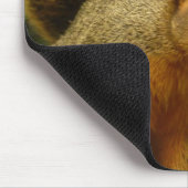 リス自然動物撮影ポートレート マウスパッド (コーナー)