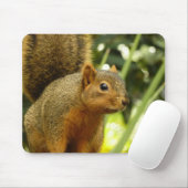 リス自然動物撮影ポートレート マウスパッド (マウス)
