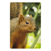 リス自然動物撮影ポートレート ミニクリップボード (裏面)