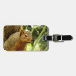 リス自然動物撮影ポートレート ラゲッジタグ
