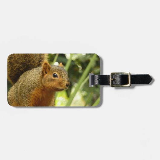 リス自然動物撮影ポートレート ラゲッジタグ (正面横)