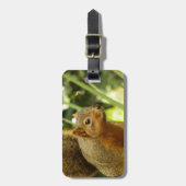 リス自然動物撮影ポートレート ラゲッジタグ (正面縦)